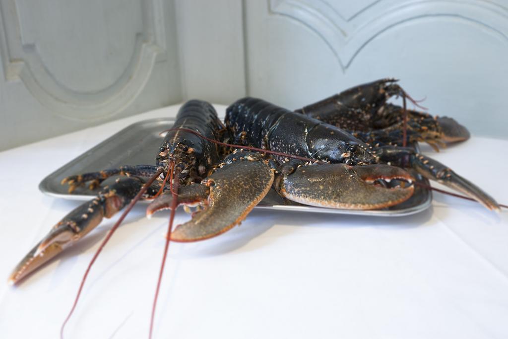 Entre Terre Et Mer Honfleur Eksteriør bilde